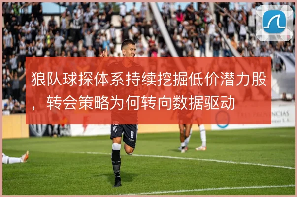 狼队球探体系持续挖掘低价潜力股,转会策略为何转向数据驱动