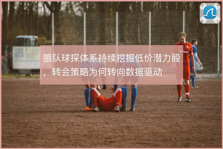 狼队球探体系持续挖掘低价潜力股,转会策略为何转向数据驱动