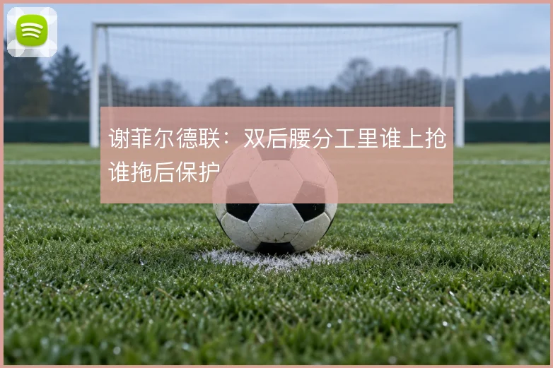 谢菲尔德联：双后腰分工里谁上抢谁拖后保护